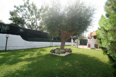 IMG_5261 (4)