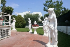 IMG_5265 (4)