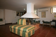 IMG_5301 (4)