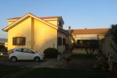 2013-01-26 16.36.23