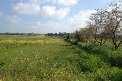 Foto 2013-04-23 10.22.16