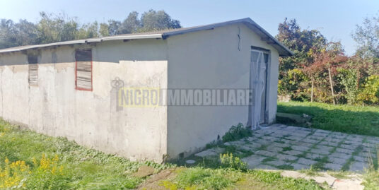 ABITAZIONE SU TERRENO DI 2000mq ZONA OLMETTO LADISPOLI (RM)
