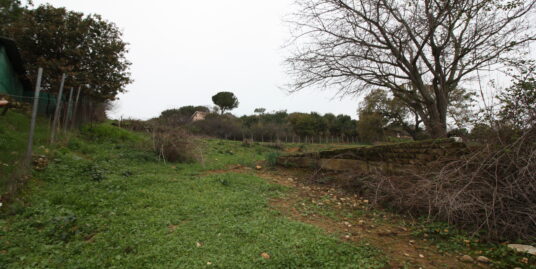 RIF T-15 – Via Luciana Armandino Laora – Cerveteri (RM)