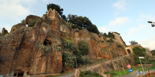 Attico in vendita in Piazza Immacolata-Borgo Ceri-Cerveteri (RM)